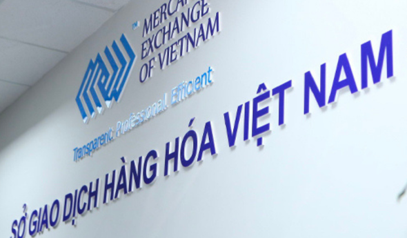 Sở giao dịch hàng hóa Việt Nam MXV là gì? những điều cần phải biết 